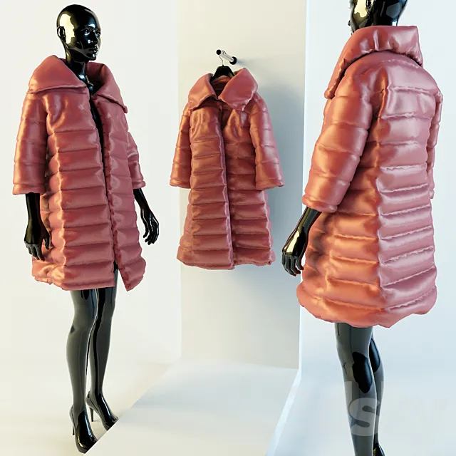 Coat 3ds Max