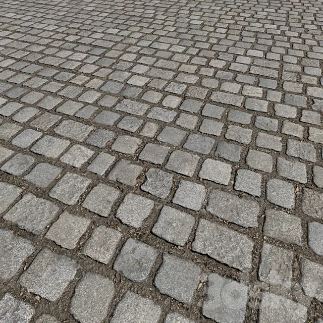 Cobblestones_1 3ds Max