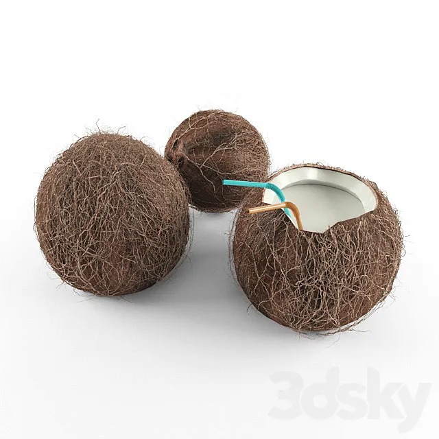 Coconut 3DS Max Model