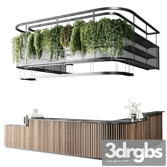 Coffee Shop Reception Restaurant Counter by Hanging Plant 03 3dsmax Download