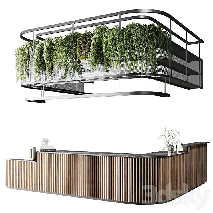 Coffee shop reception Restaurant counter by hanging plant – 03 3DS Max Model