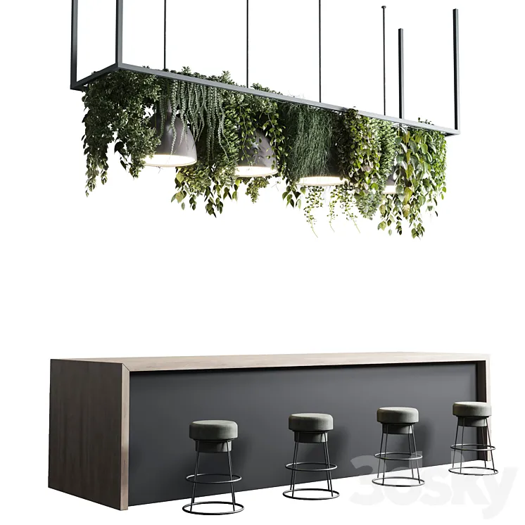 Coffee shop reception Restaurant counter by hanging plant – 04 3DS Max Model