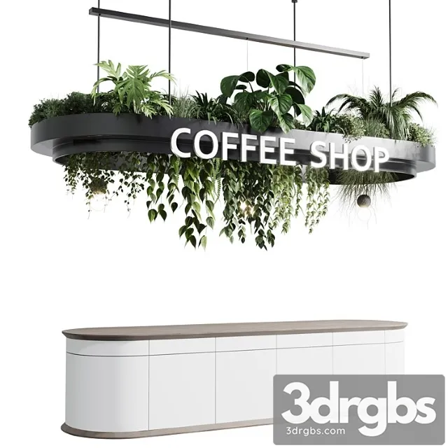 Coffee shop reception, restaurant counter by hanging plant – corona 01