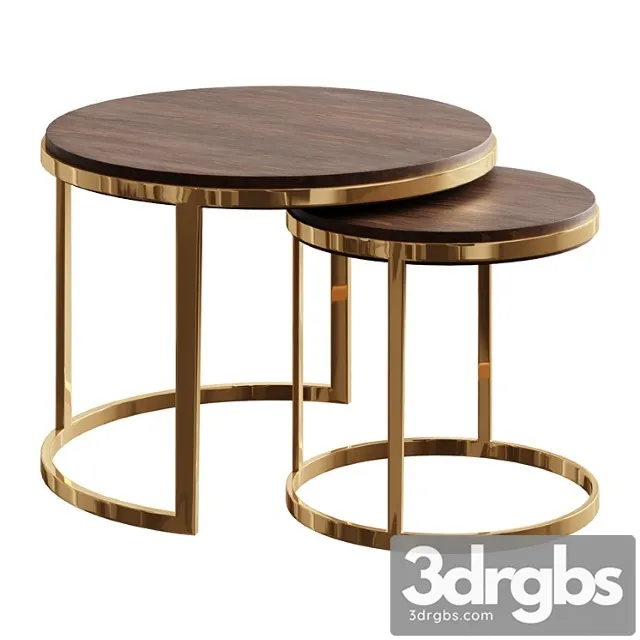 Coffee table table twins gold coffee table