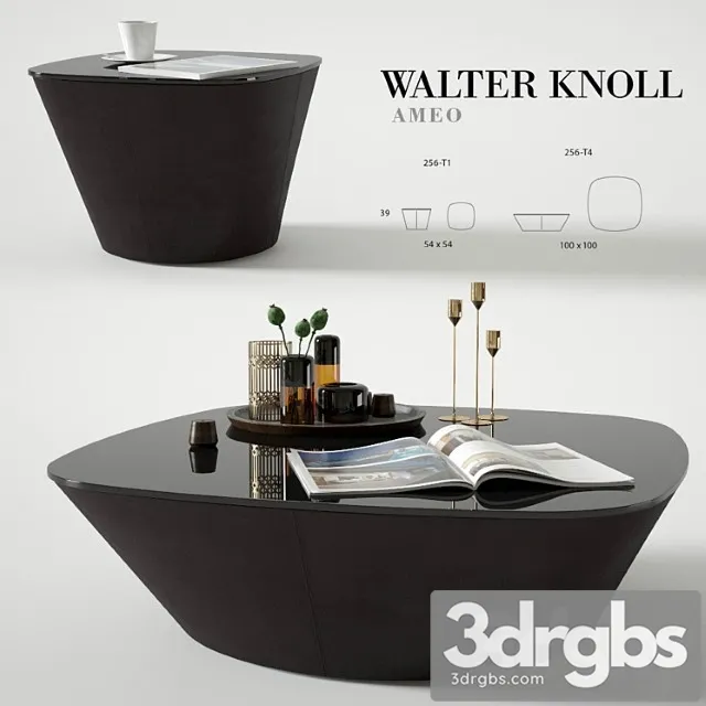 Coffee table walter knoll ameo