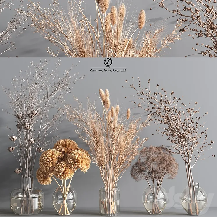 Collaction_Plants_Bouquet_2_vray 3DS Max