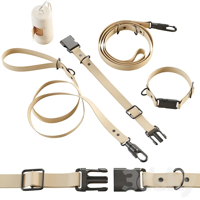 Collar and leash for dogs ammunition 3ds Max