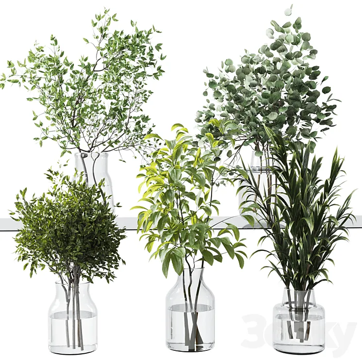 Collection Green Plants Bouquet Indoor 12 3DS Max
