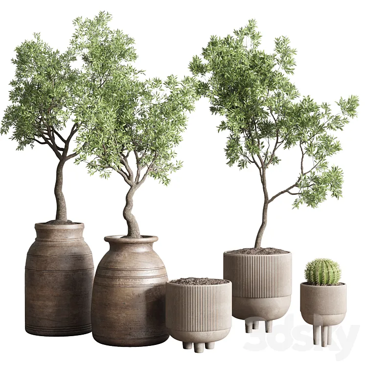 collection indoor outdoor plant 114 vase concrete wood old pot tree cactus 3DS Max