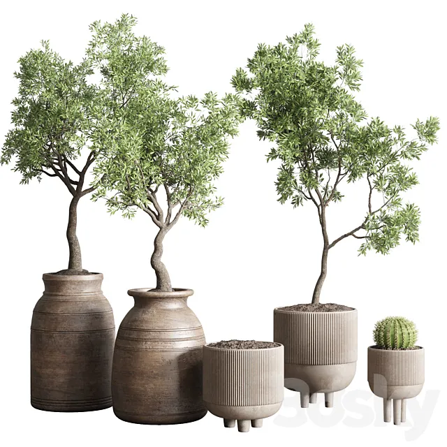collection indoor outdoor plant 114 vase concrete wood old pot tree cactus 3DSMax File