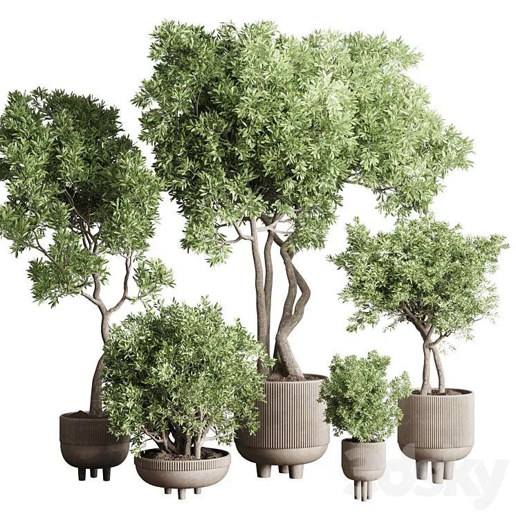 Collection Indoor Outdoor plant 118 vase concrete pot tree corona 3DS Max