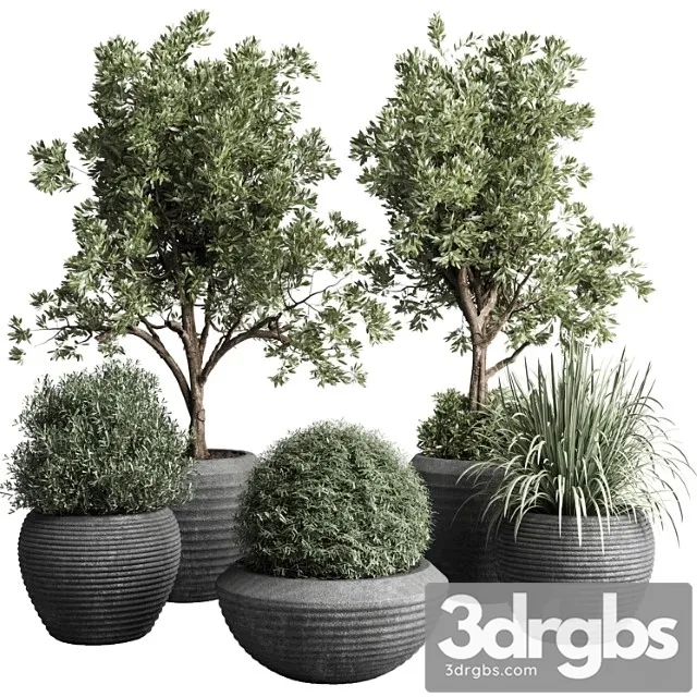 Collection Indoor Outdoor Plant 120 Plant Tree Grass Vase Dirty Concrete 3dsmax Download