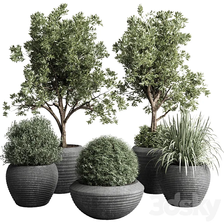Collection indoor outdoor plant 120 plant tree grass vase dirty concrete 3DS Max Model