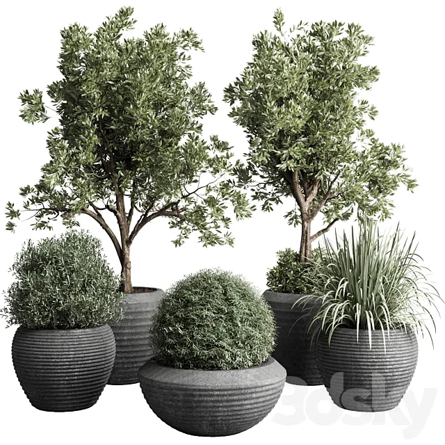 Collection indoor outdoor plant 120 plant tree grass vase dirty concrete 3DSMax File