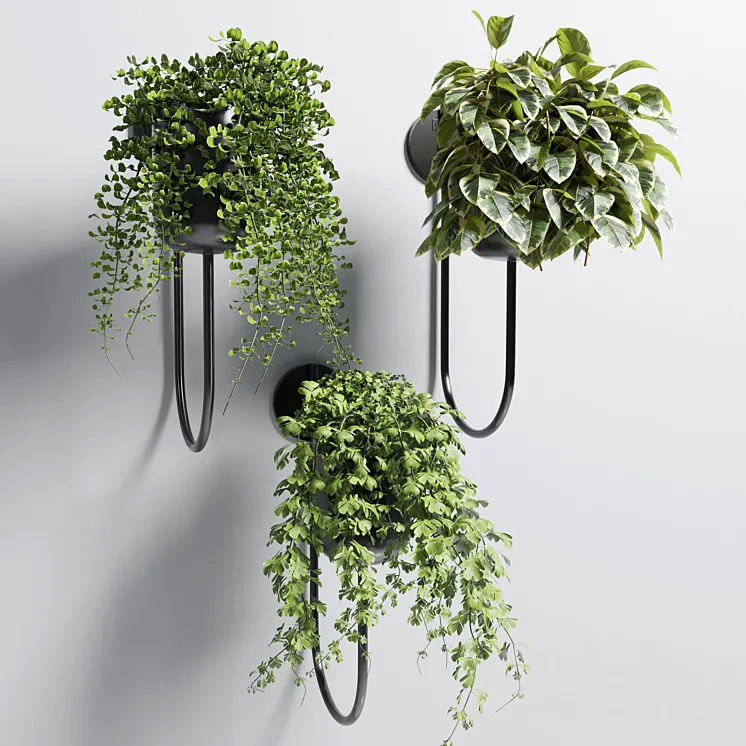 collection Indoor plant 101 vase metal stand wall plant 3DS Max