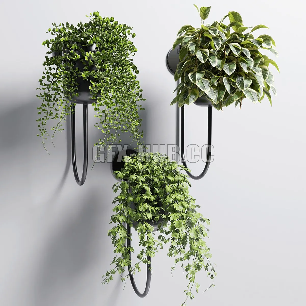 Collection Indoor plant 101 vase metal stand wall plant 3dsMax Model