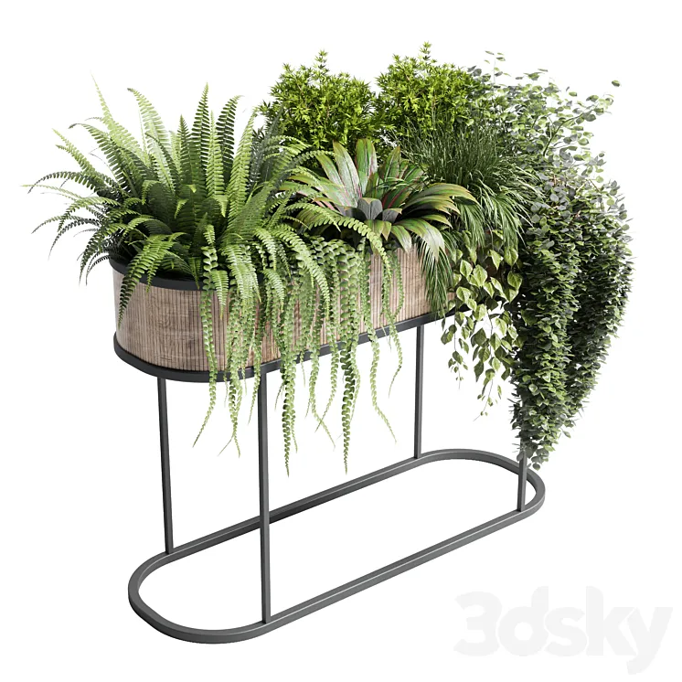 collection Indoor plant 116 stand pot bax wood vase pot fern tree grass 3DS Max Model