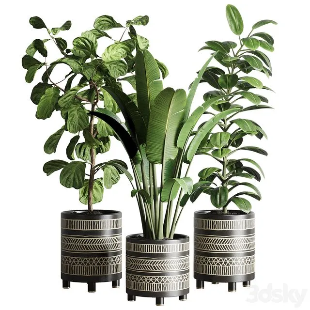 Collection Indoor plant 119 3dsMax Model