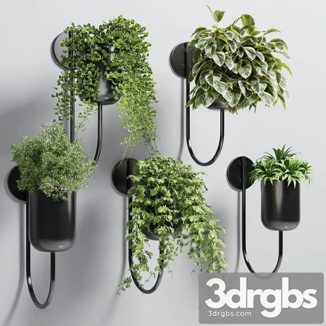 Collection Indoor Plant 135 Vase Metal Stand Wall Plant 3dsmax Download