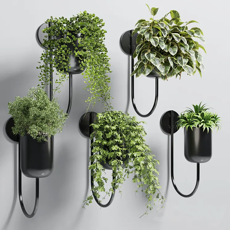 collection Indoor plant 135 vase metal stand wall plant 3DS Max