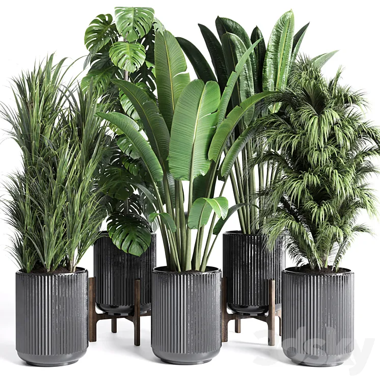 Collection indoor plant 201 plant 3DS Max