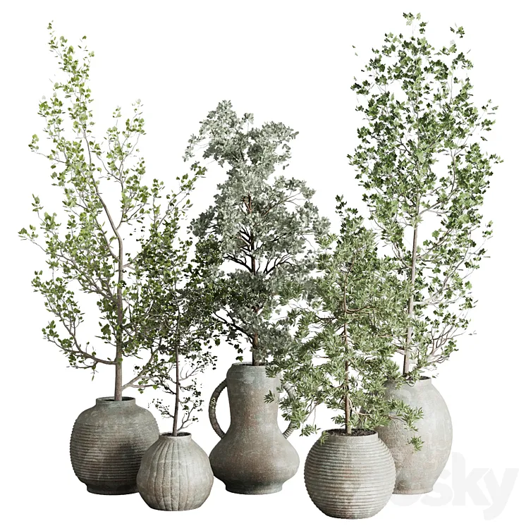 Collection indoor plant 240 pot Tree Bush Concrete Dirty Vase 3DS Max Model