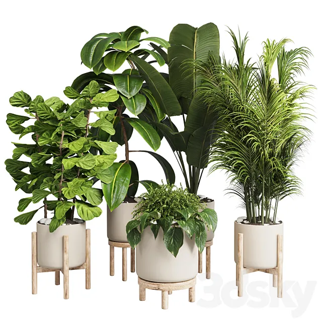 collection Indoor plant 30 -wood vase 3DSMax File