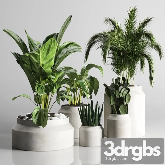 Collection Indoor Plant 33 Concrate Vase 3dsmax Download