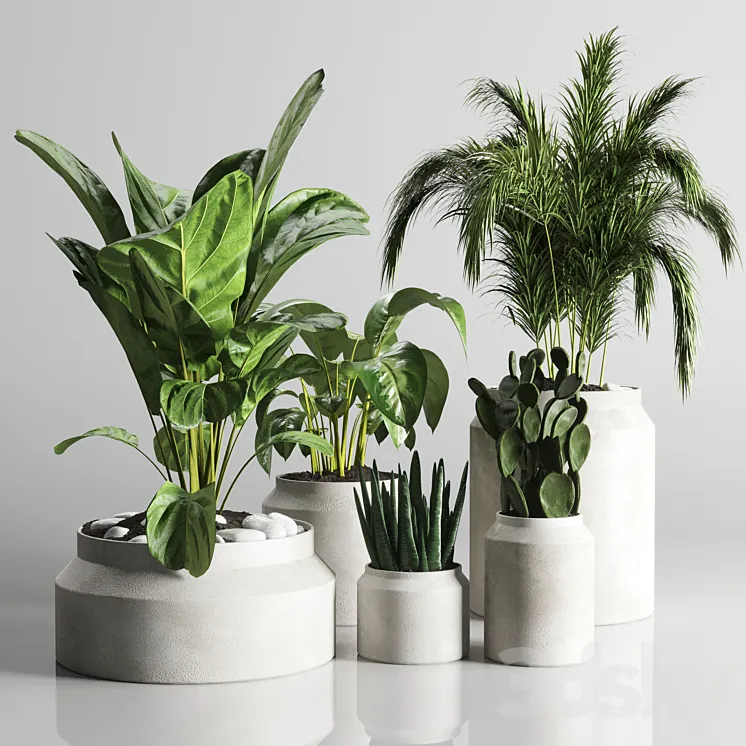 collection Indoor plant 33-concrate vase 3DS Max Model