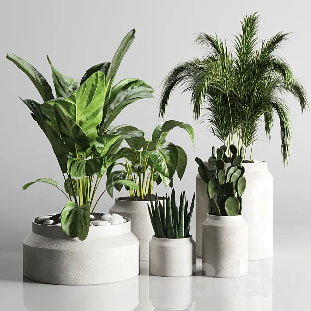 collection Indoor plant 33-concrate vase 3DSMax File