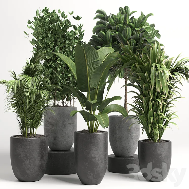 collection Indoor plant 46 vase concrete 3DS Max Model