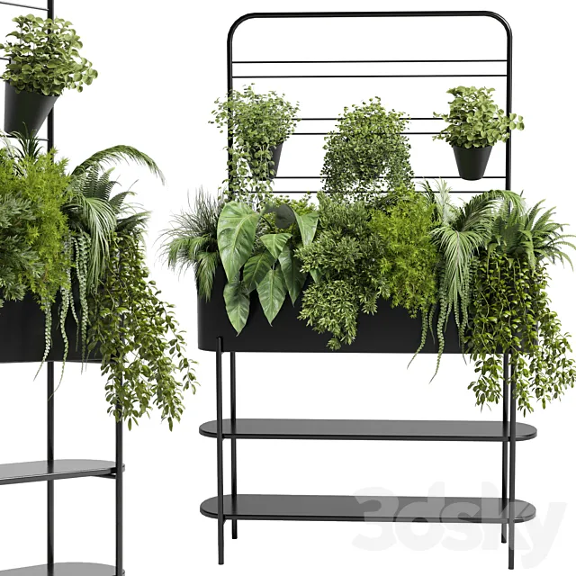 Collection Indoor plant 69 Auckland Black Metal Flower Box plant ivy fern pots 3DS Max Model