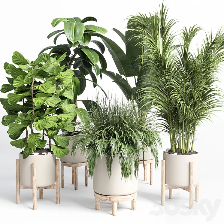 collection indoor plant 73 pot grass palm plant wood vase pot 3DS Max