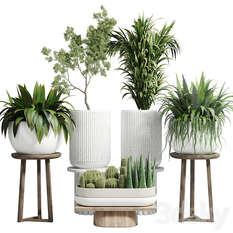 collection Indoor plant 81 pot tree plant palm fern cactus concrete vase 3DS Max Model