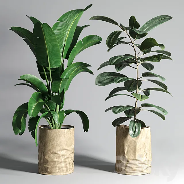 collection Indoor plant 88 paper vase envelope vase pot palnt 3DSMax File
