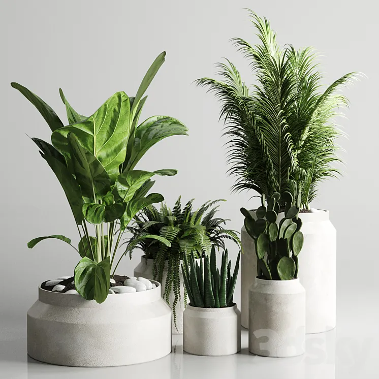 Collection indoor plant 96 pot plant palm fern cactus concrete vase 3DS Max