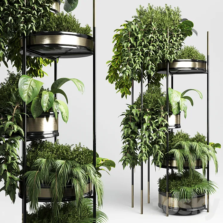 collection Indoor plant plant stairs stand metal vase 10 3DS Max