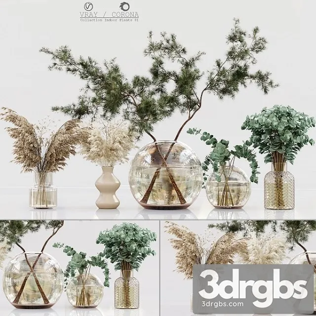 Collection Indoor Plants 01 3dsmax Download