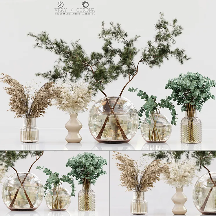 Collection Indoor Plants 01 3DS Max