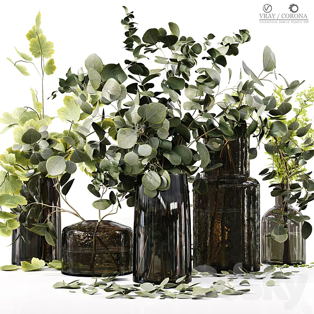 Collection Indoor Plants 010 3ds Max