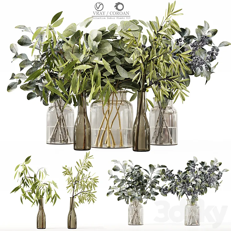 Collection Indoor Plants 013 3DS Max Model