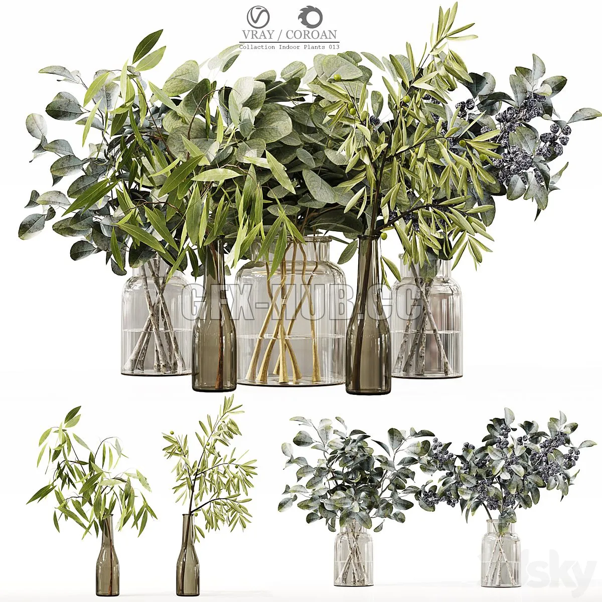 Collection Indoor Plants 013 3dsMax Model