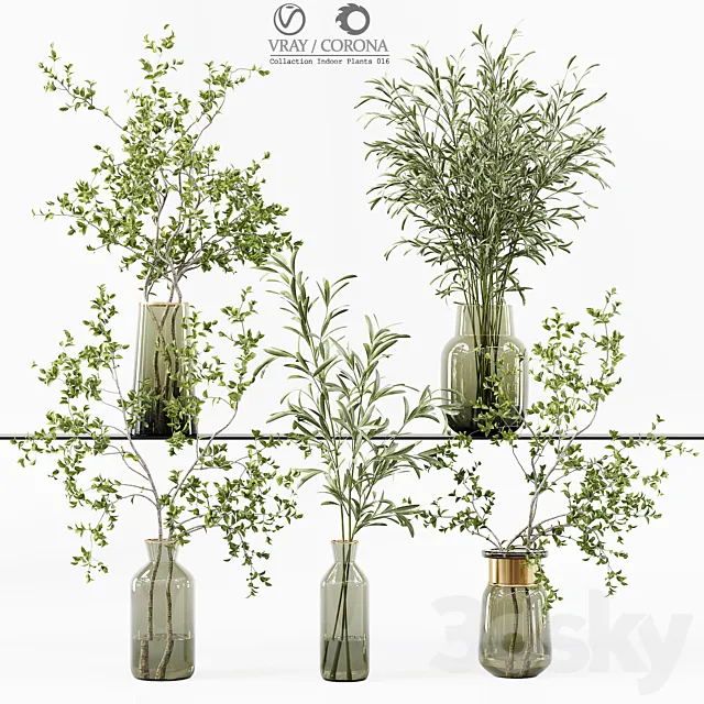 Collection Indoor Plants 016 3DSMax File