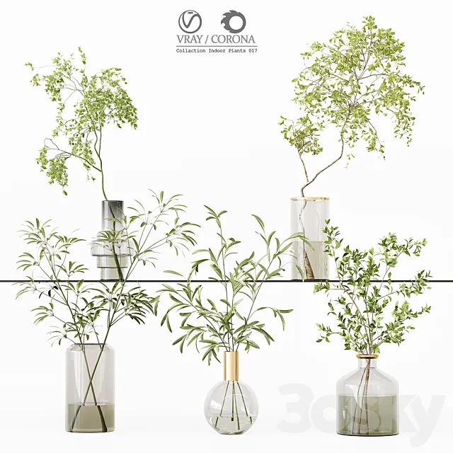 Collection Indoor Plants 017 3DSMax File