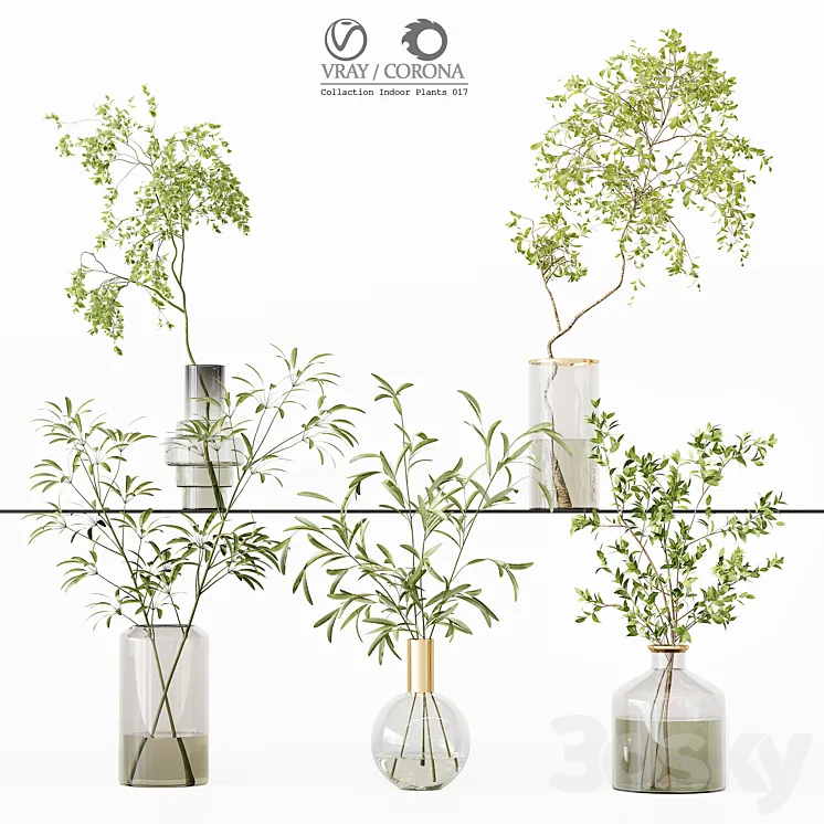 Collection Indoor Plants 017 3DS Max Model