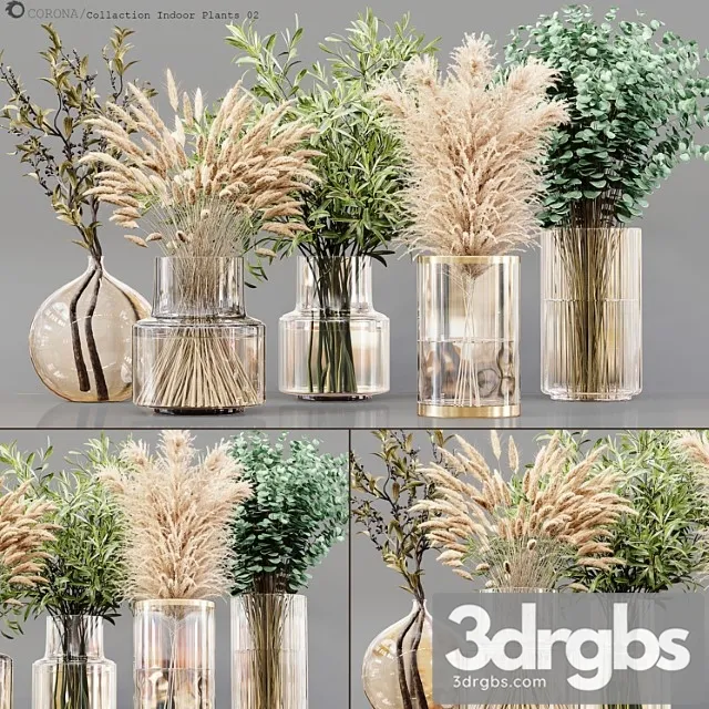 Collection Indoor Plants 02 3dsmax Download