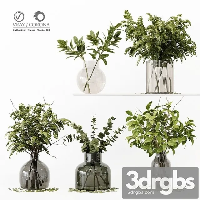 Collection Indoor Plants 020 3dsmax Download