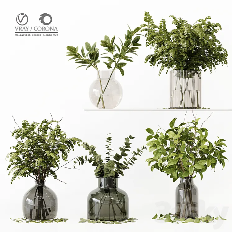 Collection Indoor Plants 020 3DS Max