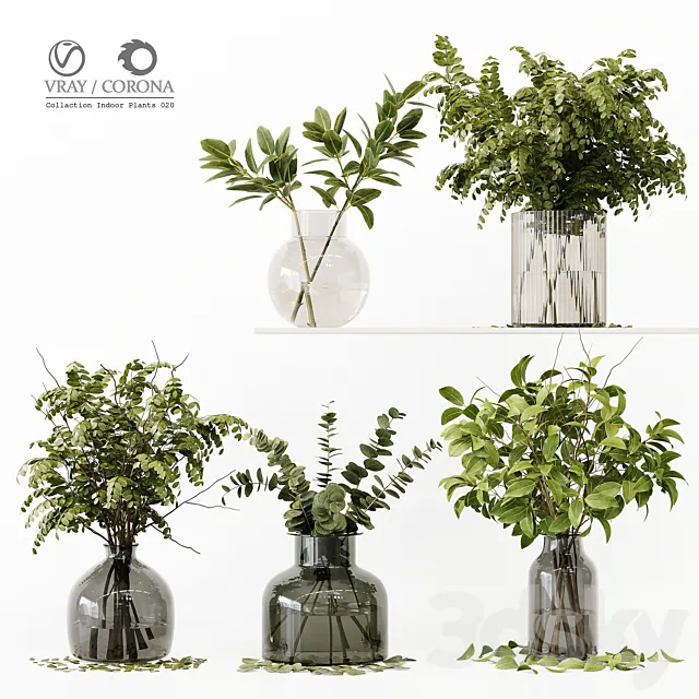 Collection Indoor Plants 020 3DSMax File