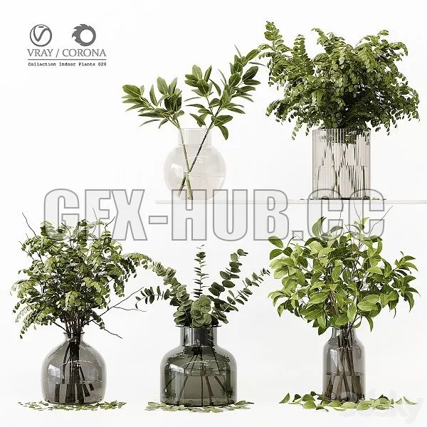 Collection Indoor Plants 020 3dsMax Model